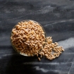 Spelt Whole Farrophoto1