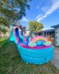 Gold slight waterslide available for salephoto2