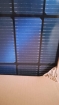 Paneles solares photo10
