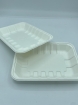 packaging desechable para alimentosphoto8
