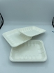 packaging desechable para alimentosphoto12