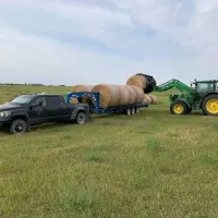 Fresh Alfalfa hay, Bermuda and Timothy and Orchardgrass