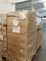 Collezione anni precedenti di Piatti in carta e articoli per il party made in Italy