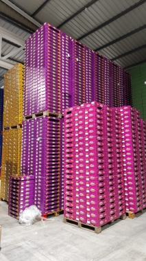 LOTE DE CAJAS DE CARTONphoto1