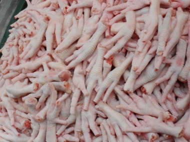 Top Quality FROZEN WHOLE CHICKEN CHICKEN FEET CHICKEN PAWphoto1