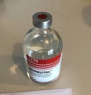 Compre la solución oral de pentobarbital Nembutal para una salida tranquila con BITCOIN/USDTphoto1