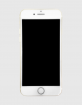 gebraucht - Apple iPhone 7 / iPhone 8 / iPhone X - Großhandelphoto3
