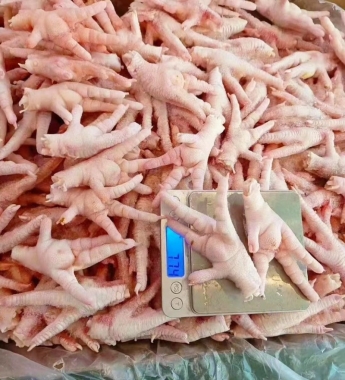 Frozen chicken feet, breast , Pawsphoto1