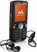 Sony Ericsson W810i Handy B- Warephoto1