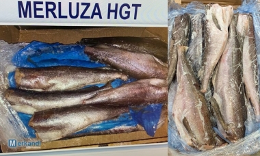 Poblaciones de peces Merluza congelada - Merluzaphoto1